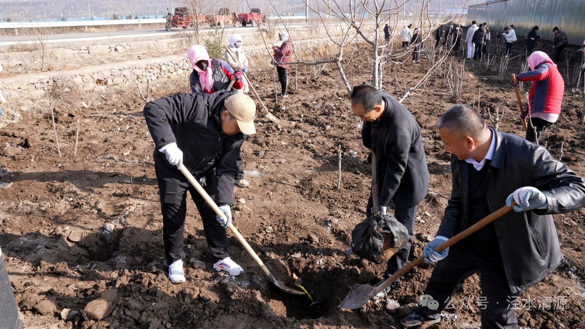 泾源县泾河源镇抢抓农时绘就特色产业增收新图景