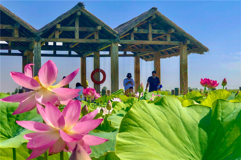 配图 (14).jpg 配图 (14).jpg