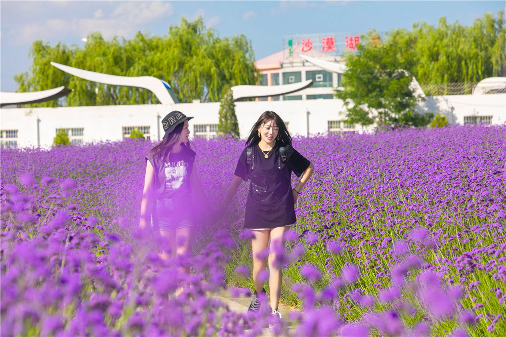 配图 (4).jpg 配图 (4).jpg