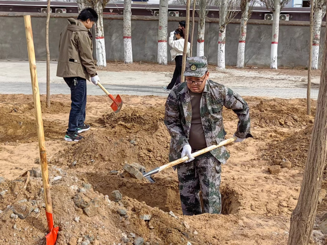 灵武市马家滩镇塞上春来风景异滩上植树正当时