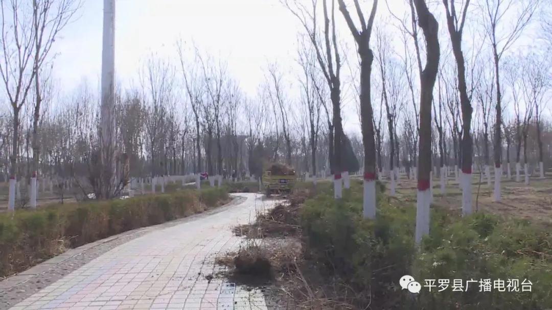 微信图片_20200326142852.jpg