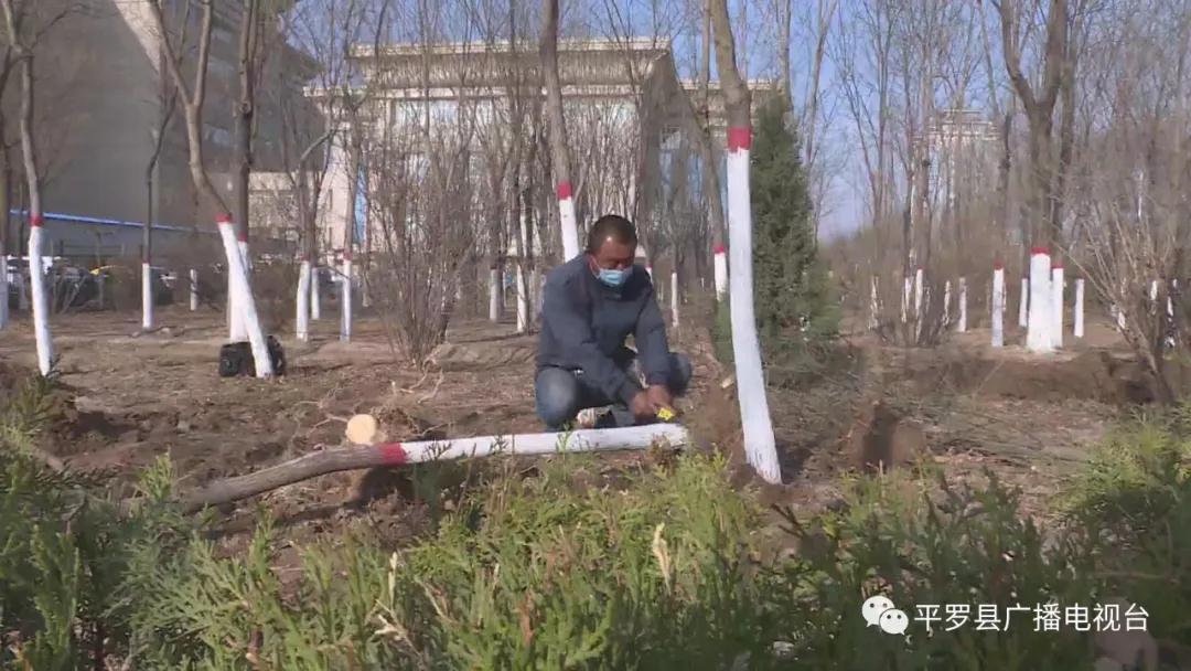 微信图片_20200326142859.jpg
