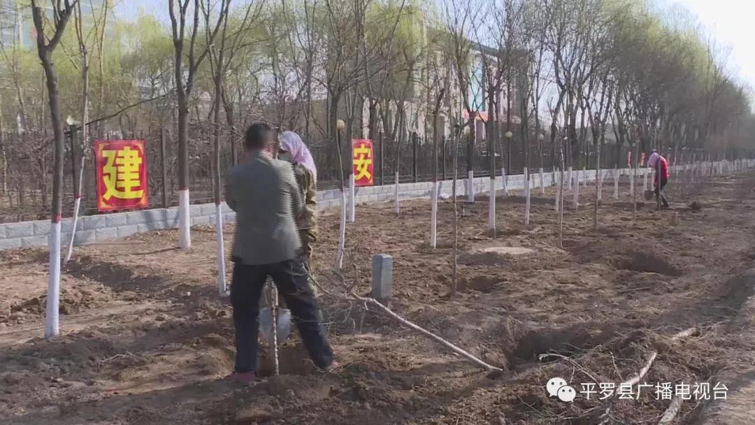 微信图片_20200326142903.jpg