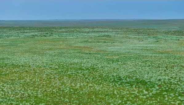 01.png