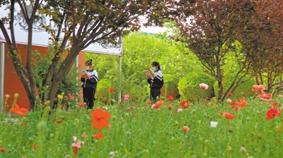 <p>　　平罗中学花园般的校园。</p>