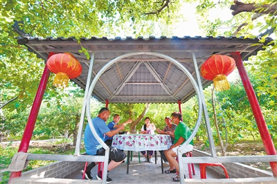 <p>　　游客在百年老树农庄聚餐。</p>