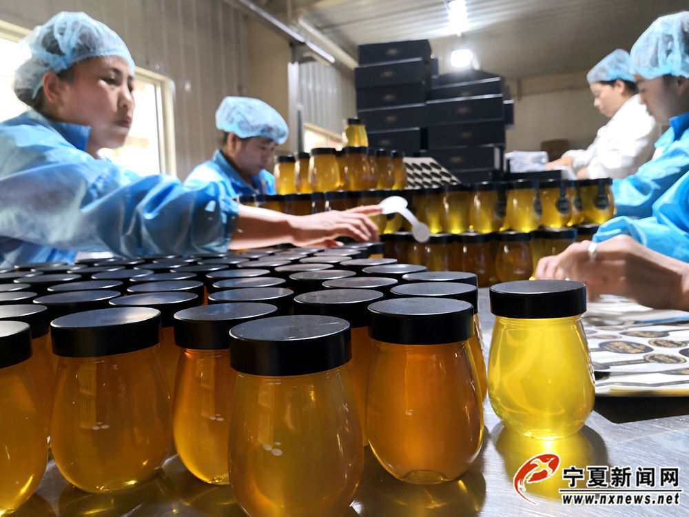 2017年，薛志刚的枸杞花蜜卖了186吨，销售额突破400万元。