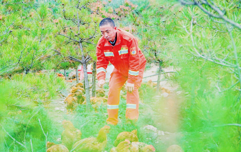 图片9.png