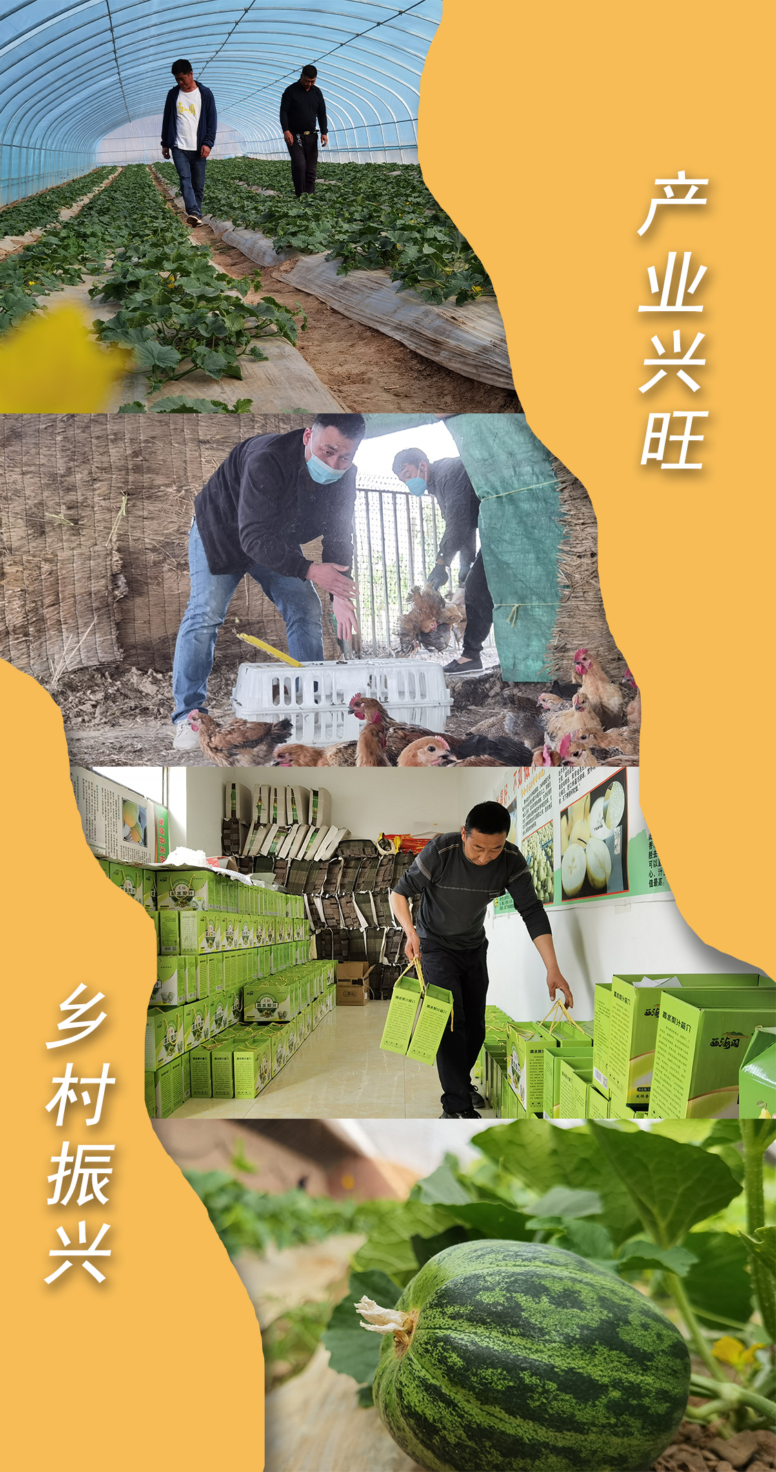 6-产业兴旺.jpg