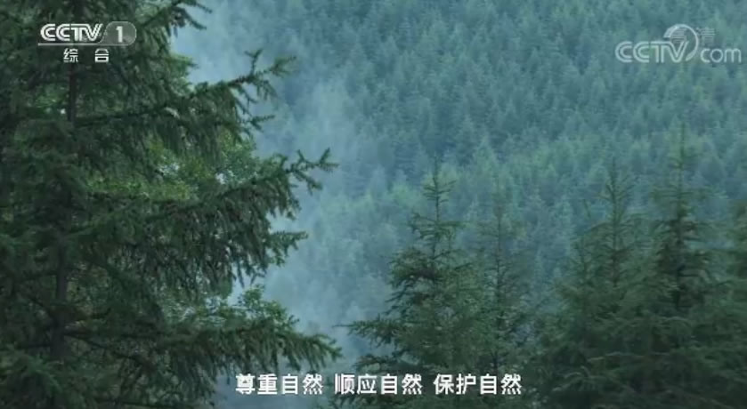 未命名-119.jpg
