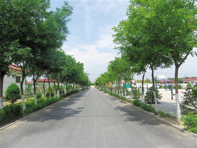 <p>　　农夫乐园。</p>