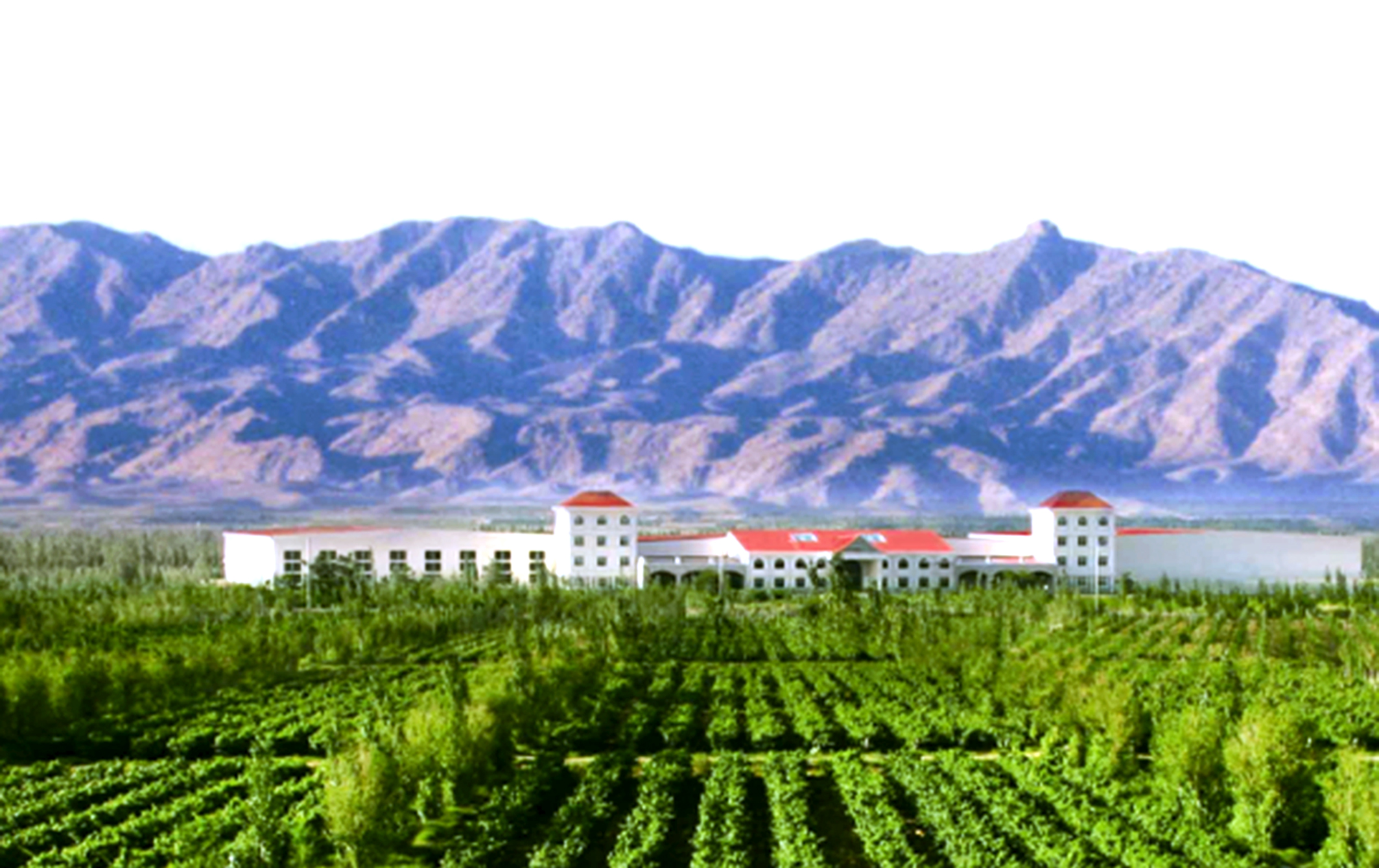 御马酒庄全景.jpg