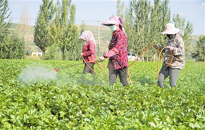 <p>　　河水滋润产业兴。</p>
