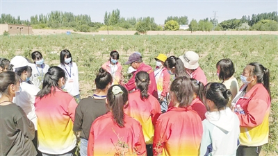 <p>　　学生深入田间地头，学本领，长才干。　　　　　　（图片由受访者提供）</p>