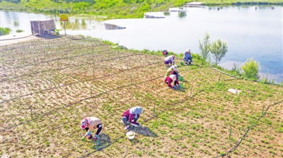 <p>　　泾河流域综合治理工程，实现泾源县域内主要河湖水清、河畅、景美的总体目标。　</p>