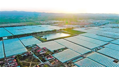     头营镇杨郎村万亩瓜菜基地。