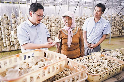 <p>　　福建省农业科学院专家林戎斌（左一）向固原市原州区河川乡康沟村村民传授蘑菇种植技术。</p>