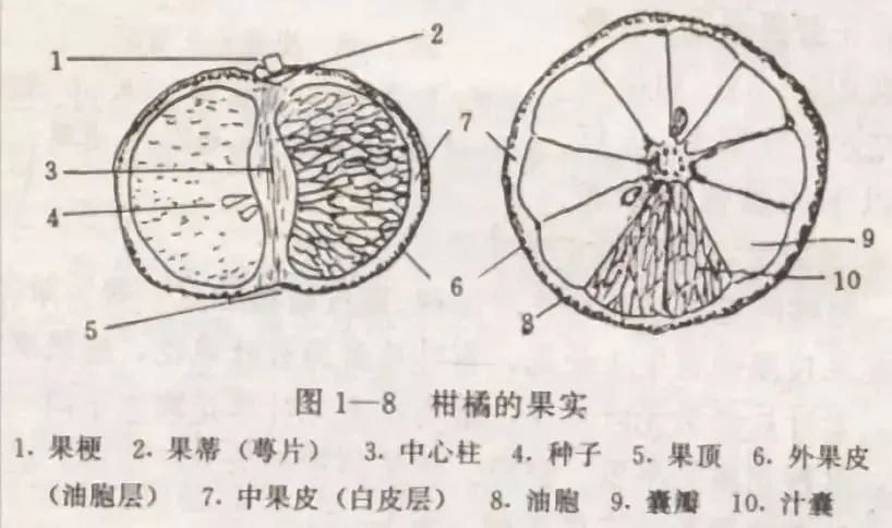 20250224ca051c17277d47bf9dac92b60a8d628e_2025022434096d11060d4738bf62e8ce1c781fe9.jpeg