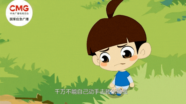 ffeb0f1ac37e46abb9ba0686c29c65b4.gif