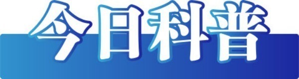 20250418bcf7eadd325c48509945be4f08181fe6_202309073ccbc9cae3194356a0a02494cb4b184a.jpeg