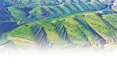 <p>　　作为山林权改革重点县，彭阳县已完成10个乡镇、50个行政村的林草地界定87.63万亩，为3个试点村集体林权确权颁证。　　　　　　</p>