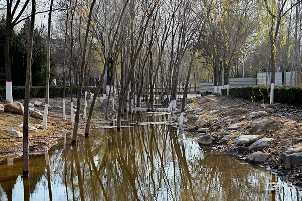 W020241206635957297388.jpg
