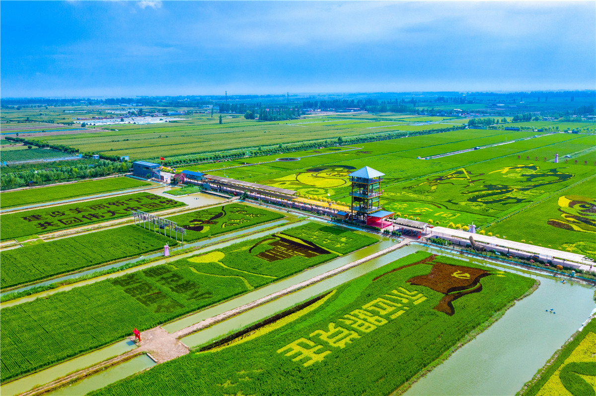 DJI_0297.jpg