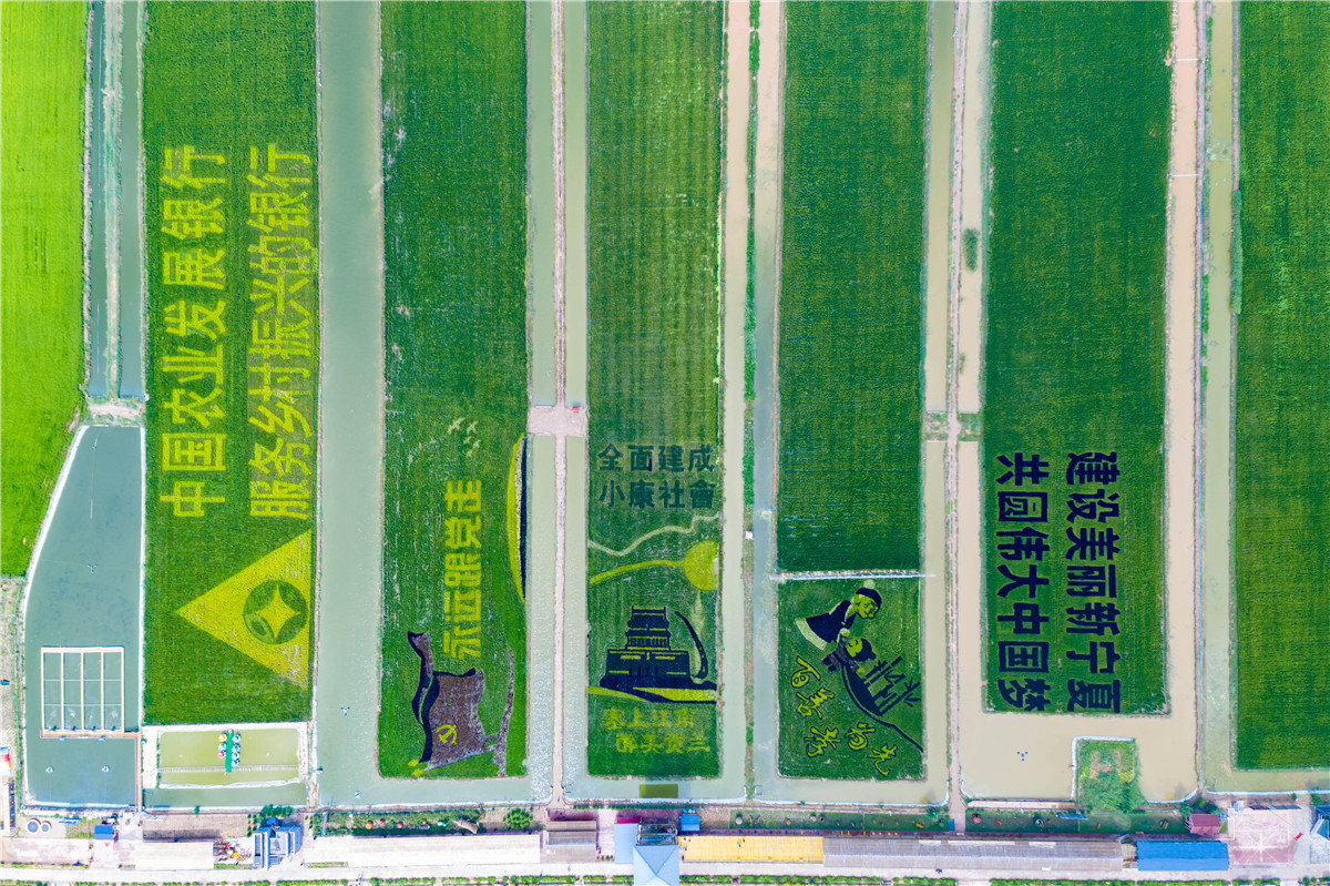 DJI_0314.jpg