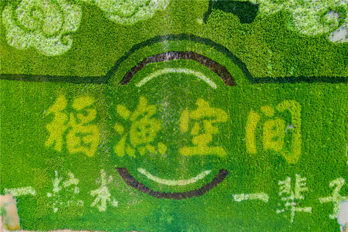 DJI_0334.jpg