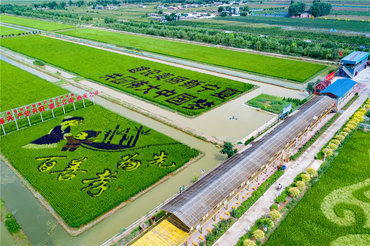 稻渔空间简介图片