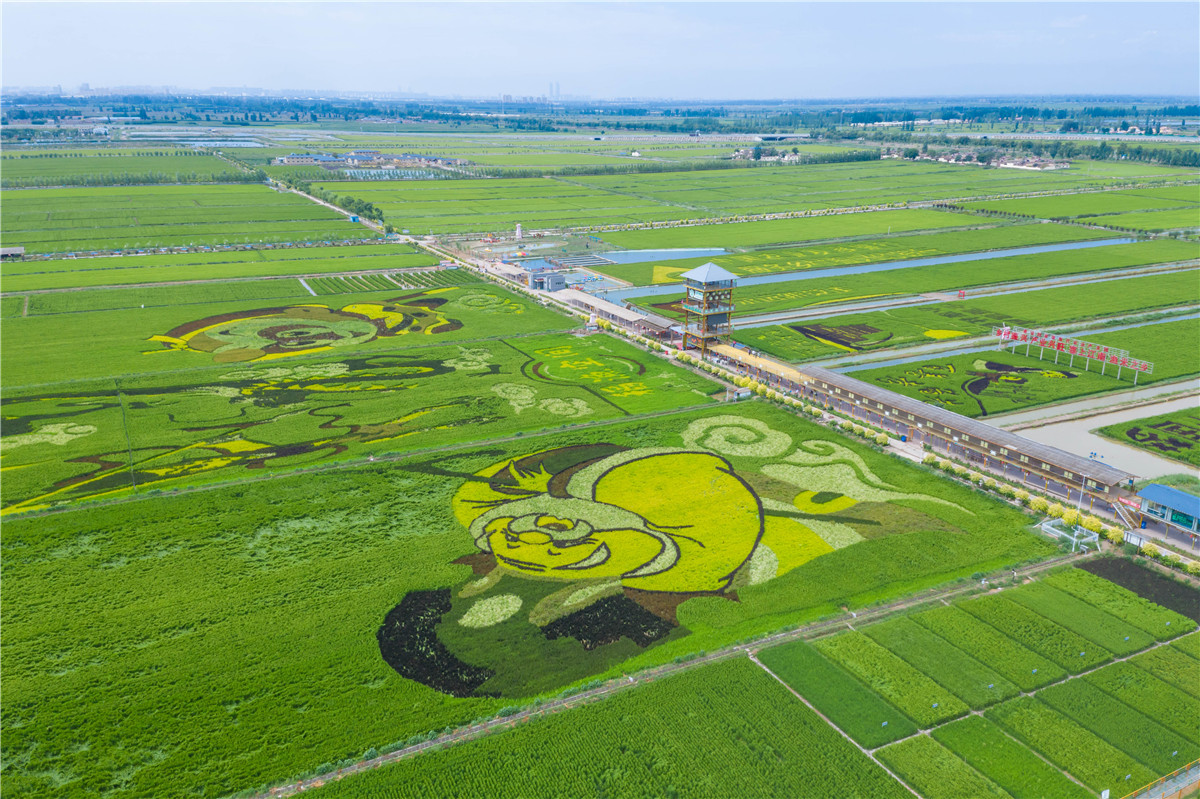 贺兰稻渔空间图片