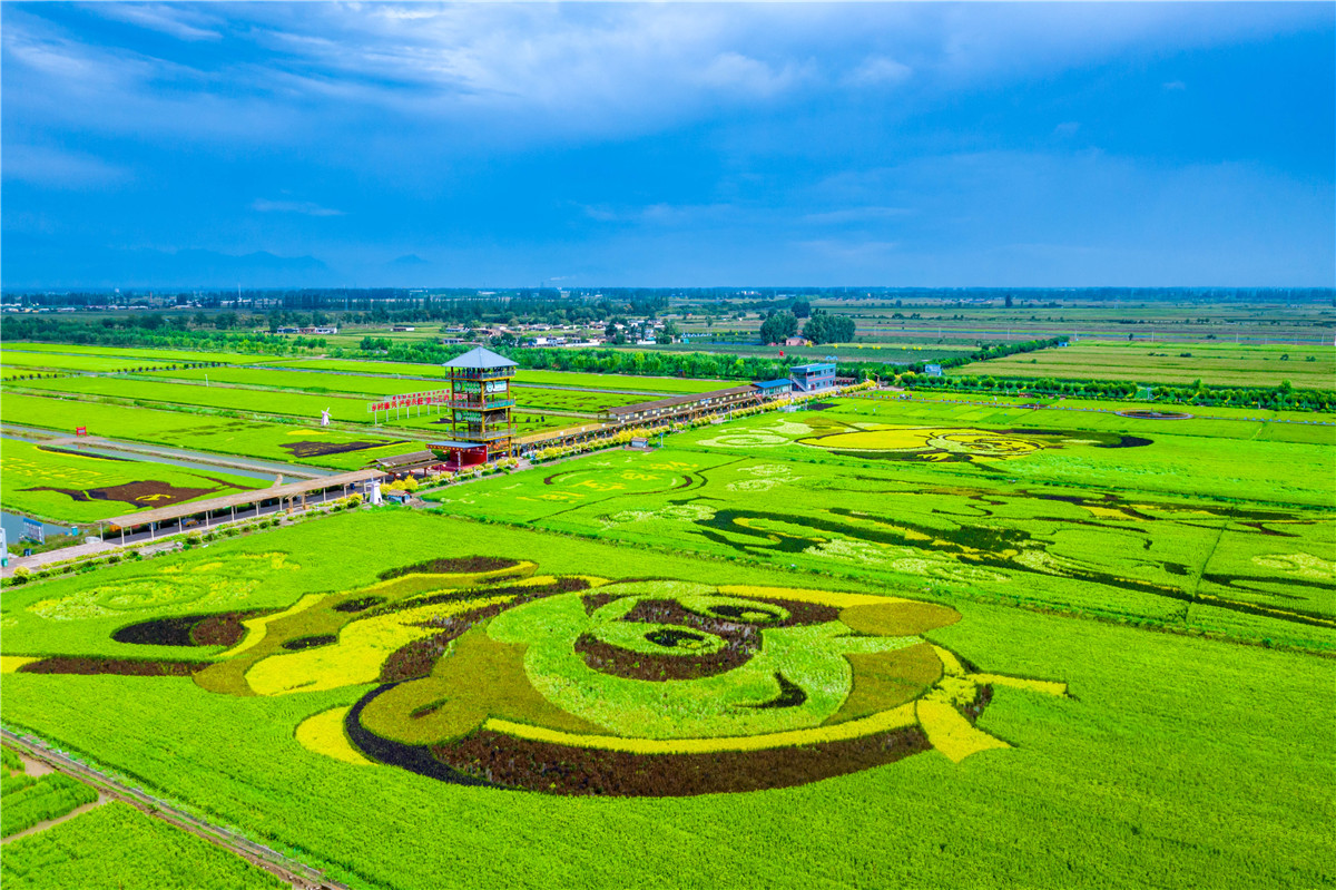 DJI_0291.jpg