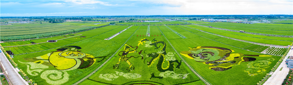 PANO0001-Pano-3.jpg