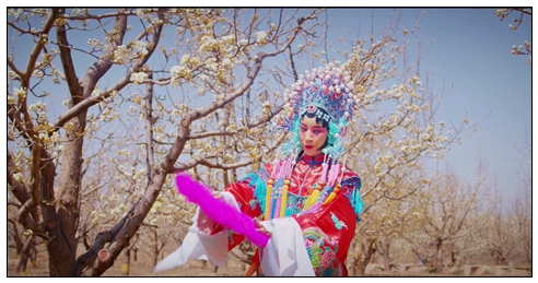 梨花节风采.jpg