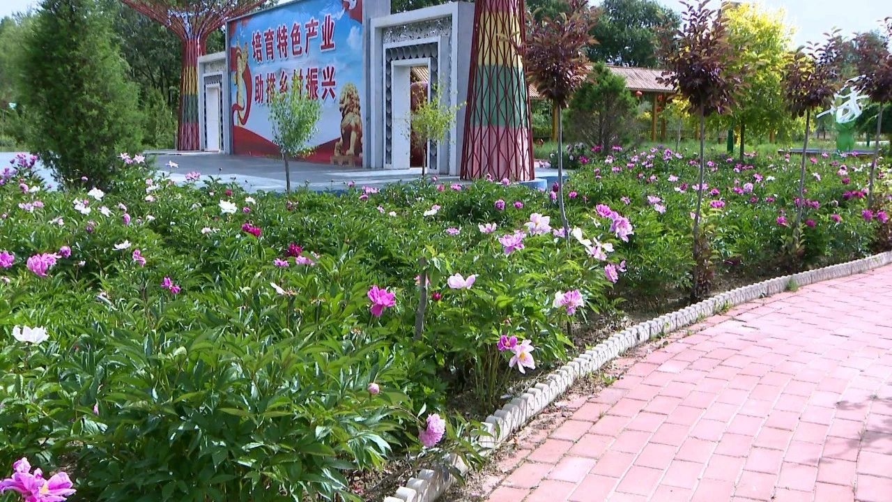 微信图片_20230703173217.jpg