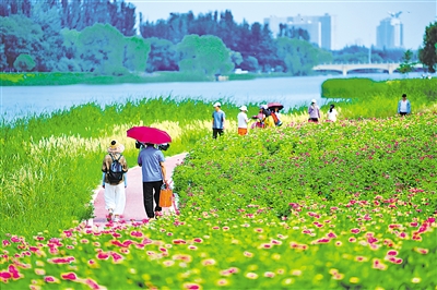     人们在典农河畔悠闲踱步，盛放的各色鲜花伴随着一条蜿蜒小径伸向远方。悦耳的鸟鸣，斑斓多姿的花簇，缓缓流淌的河水，为湖城银川平添了生机与色彩。
    本报记者 马楠 摄