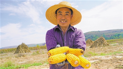     又是一个丰收年。