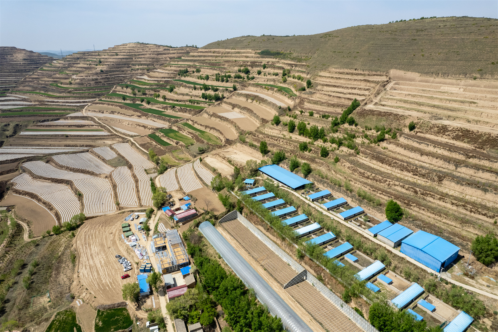 DJI_0747.jpg