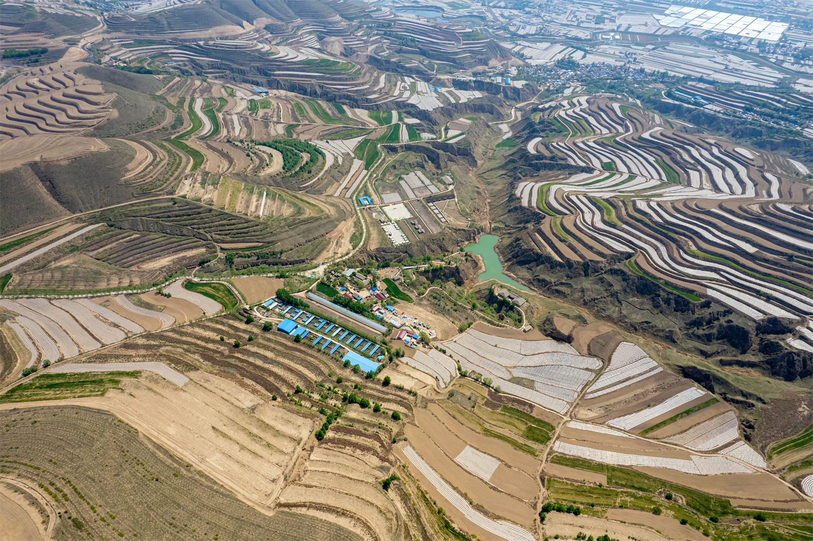 DJI_0708.jpg