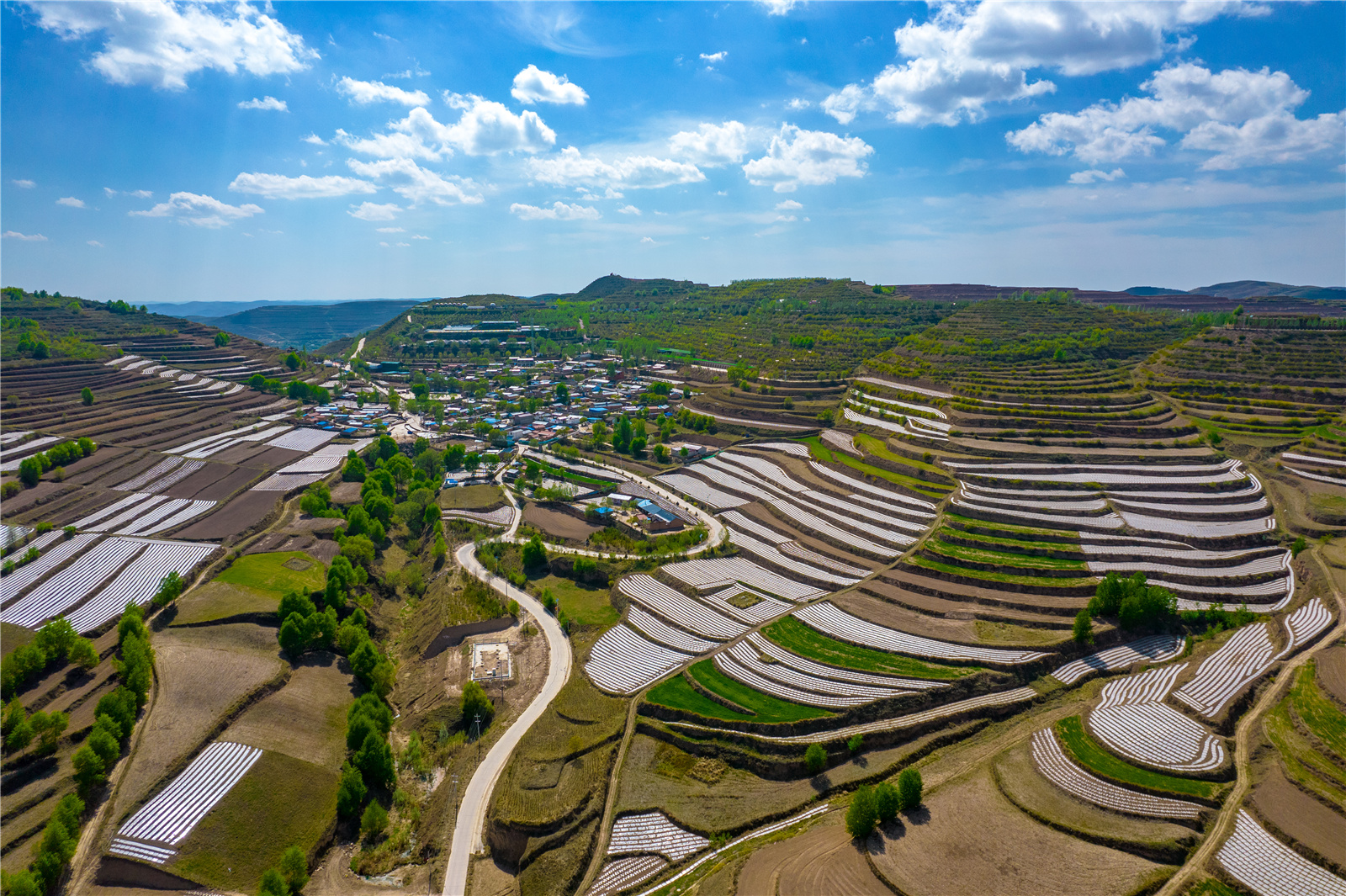 DJI_0377.jpg