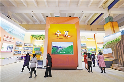 宁夏展区借助实物、模型、图片、裸眼3D技术等，展示了党的十八大以来宁夏所取得的不凡成就。