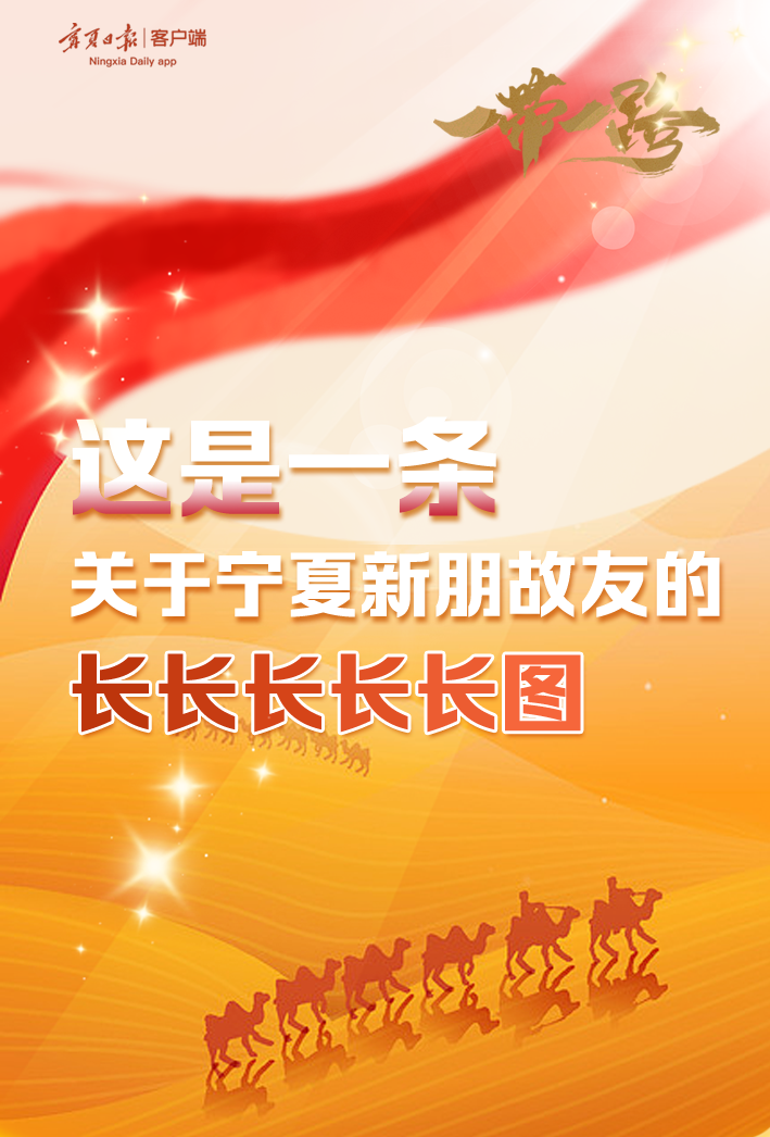 这是一条关于宁夏新朋故友的长长长长长图