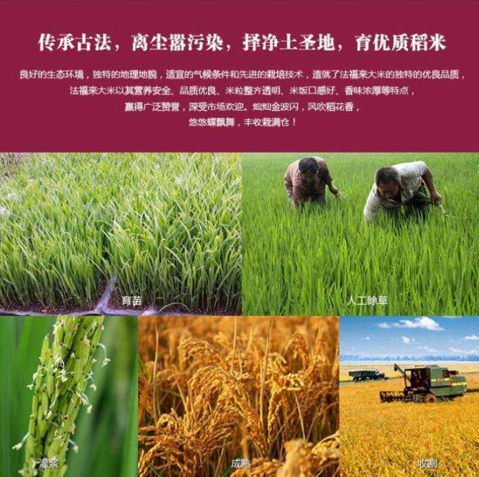 QQ截图20201220111834.jpg