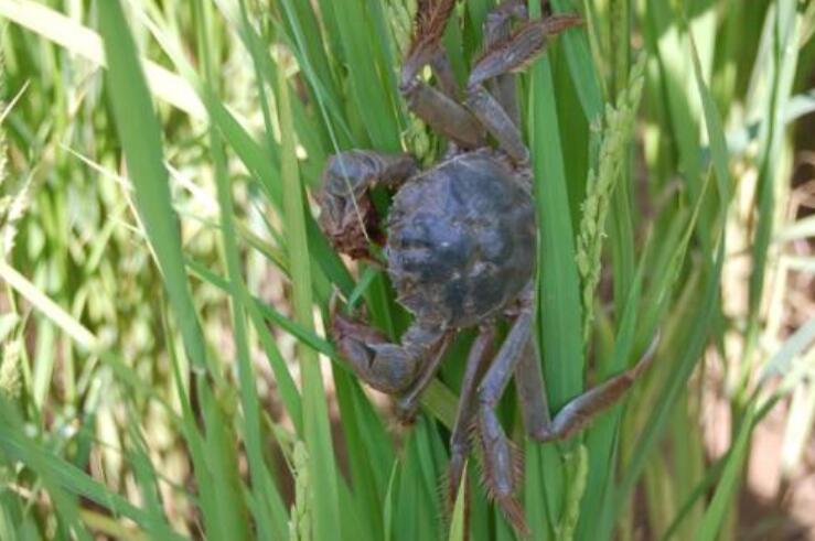 QQ截图20201220120909.jpg QQ截图20201220120909.jpg