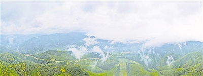     清晨，薄雾笼罩六盘山。