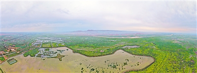     青铜峡库区湿地自然保护区是我区最大的黄河滩涂类型湿地自然保护区。