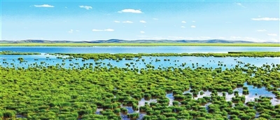 四川省阿坝州若尔盖花湖湿地国家级自然保护区。<br/>　　（若尔盖摄影家协会供图）