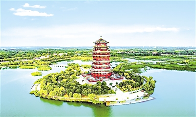 山东省滨州市滨城区蒲湖公园。大众日报记者 程芃芃 摄