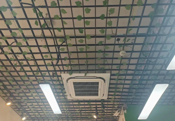QQ浏览器截图20240624002625.png