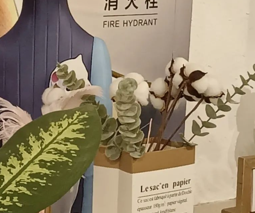 QQ浏览器截图20240708213807.png